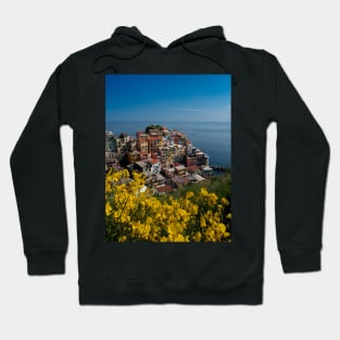 View on the cliff town of Manarola, one of the colorful Cinque Terre on the Italian west coast Hoodie